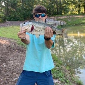 Meet your Posher, Frankie